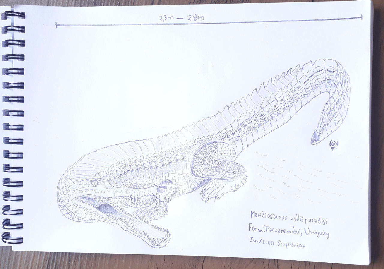 Meridiosaurus Meridiosaurus vallisparadisi by KevinVico on DeviantArt
