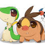 Unova Starters