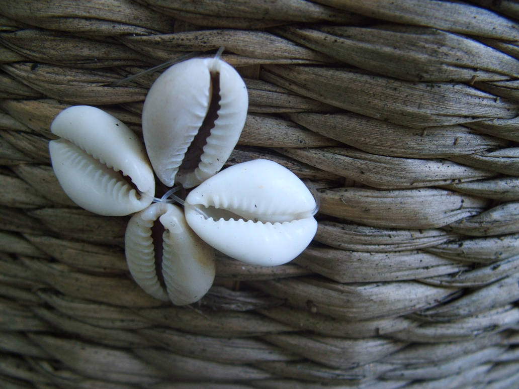 Shells by MidniteNchelsea on DeviantArt
