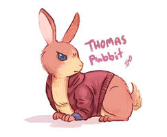 Thomas Rabbit !