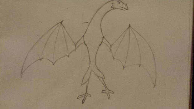 does this look like a Bird or a Dragon 