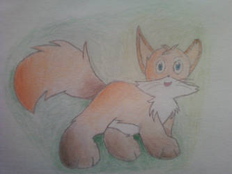 Another fox :3