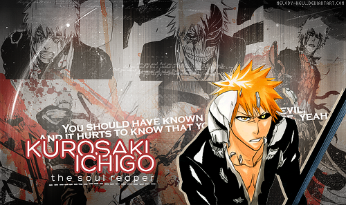 Kurosaki Ichigo - the soul reaper