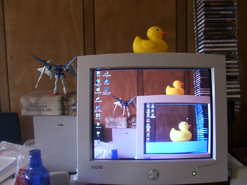 screenshot ducks