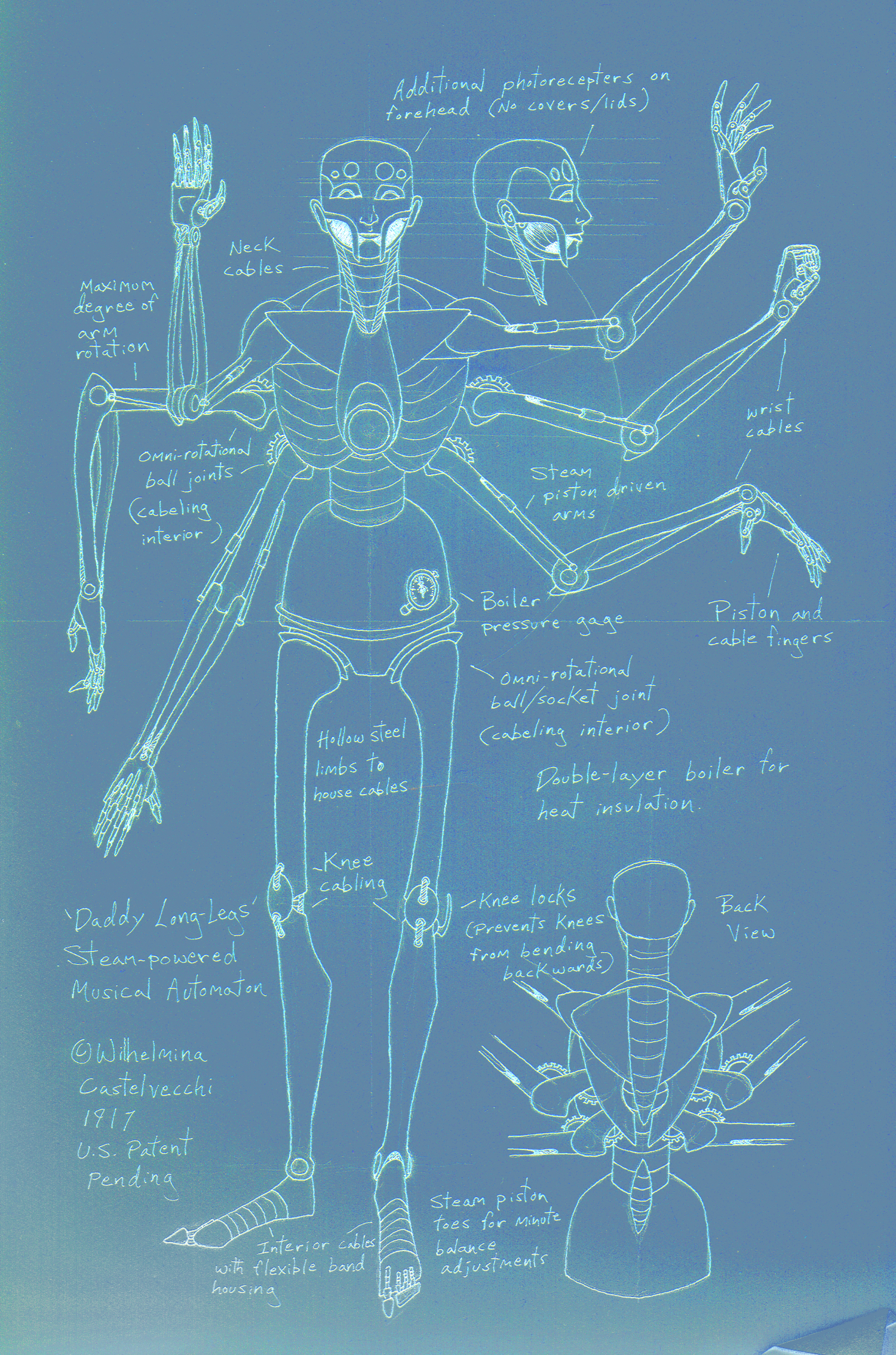 Daddy Long Legs blueprint