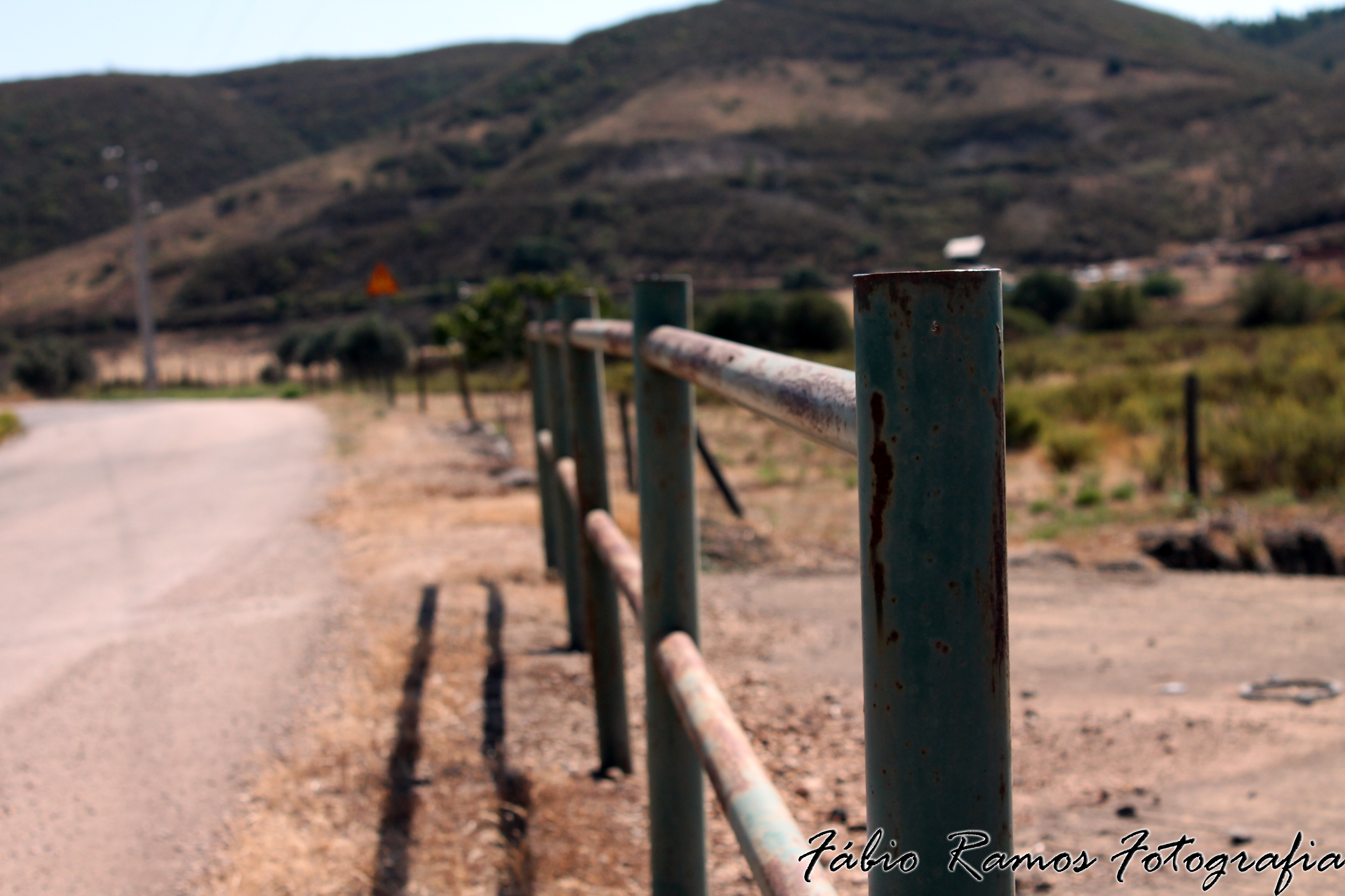 Lonely Fence