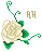 D: White Rose (L) by AngelicHellraiser D: White Rose (L) by AngelicHellraiser