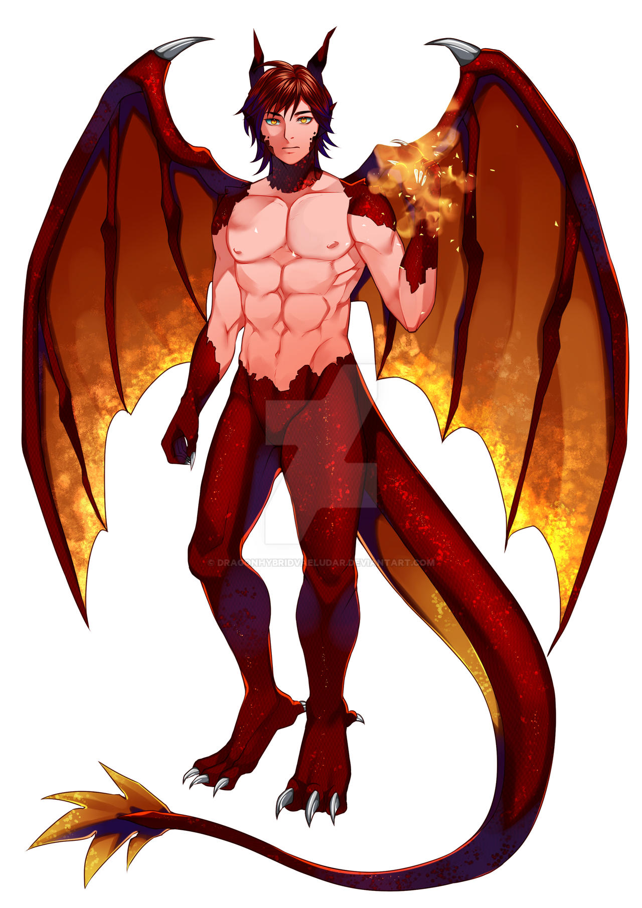 Human Dragon Hybrid (anime) by DragonHybridVaeludar on DeviantArt