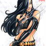 X23 Cover Markers