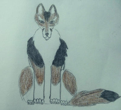 Rufus wolf by Akela-74 on DeviantArt