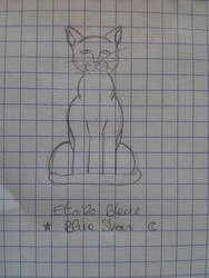Etoile Bleue - Bluestar