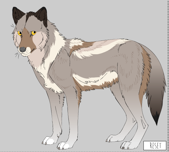 Brown wolf