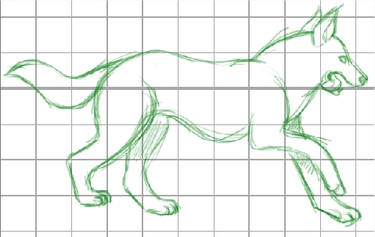 Dog sketch