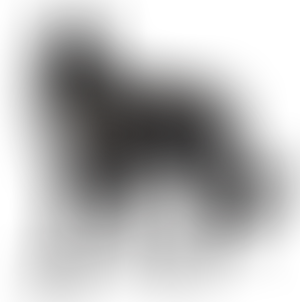 What if... (Arenak)