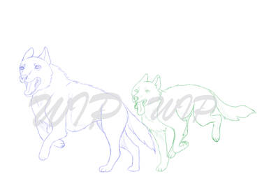 Wip : dogs