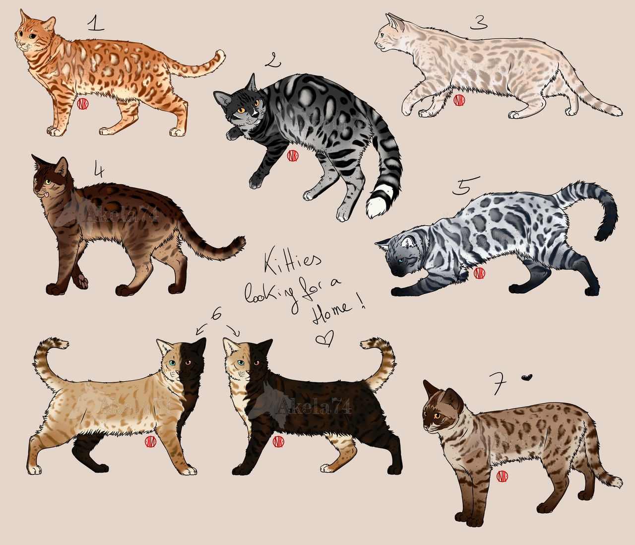 Cats - Bengal adopts (OPEN)