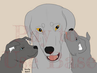 BASE- Adult+pups bust
