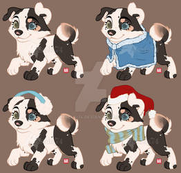 Tuli puppy: Advent