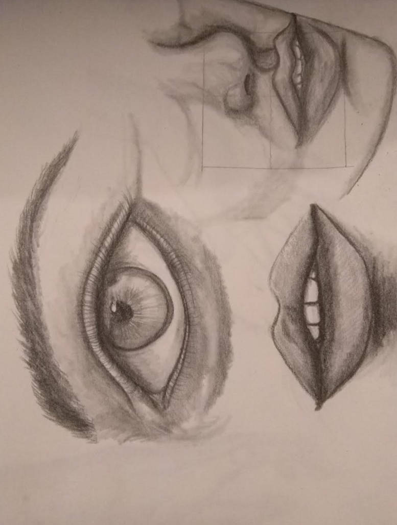 Face graphite studies by vethysnia