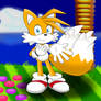 Tails in Emerald Hill Zone