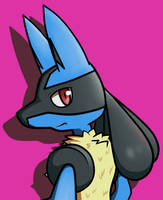 Lucario #10