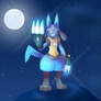 Lucario #12