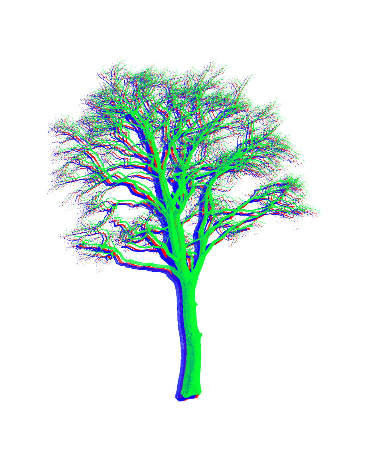 Rgb Tree by manuelmarl1 on DeviantArt