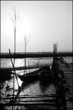 River Boats