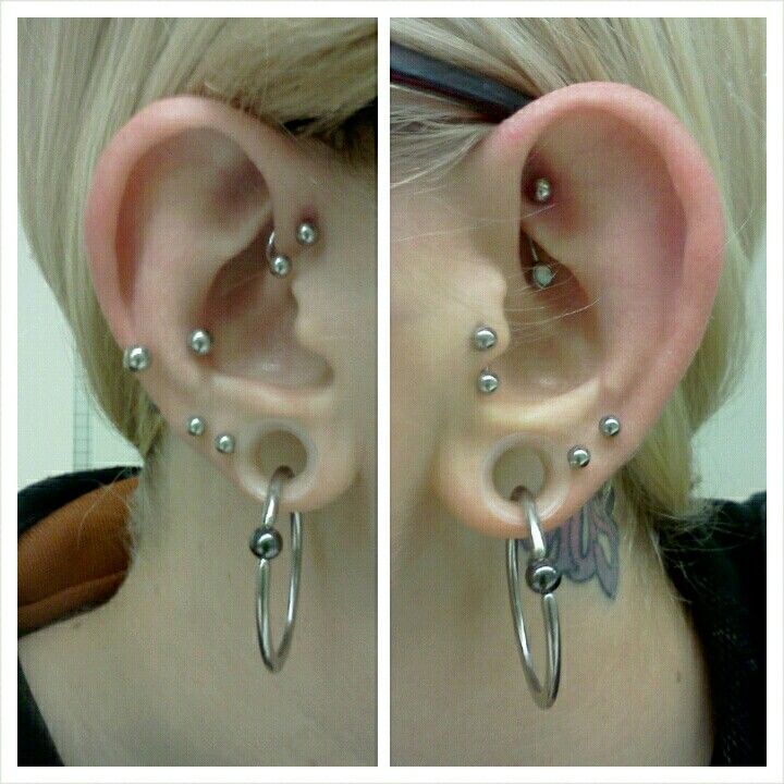 Ears By Kitten Mittens On Deviantart Ears By Kitten Mittens On Deviantart