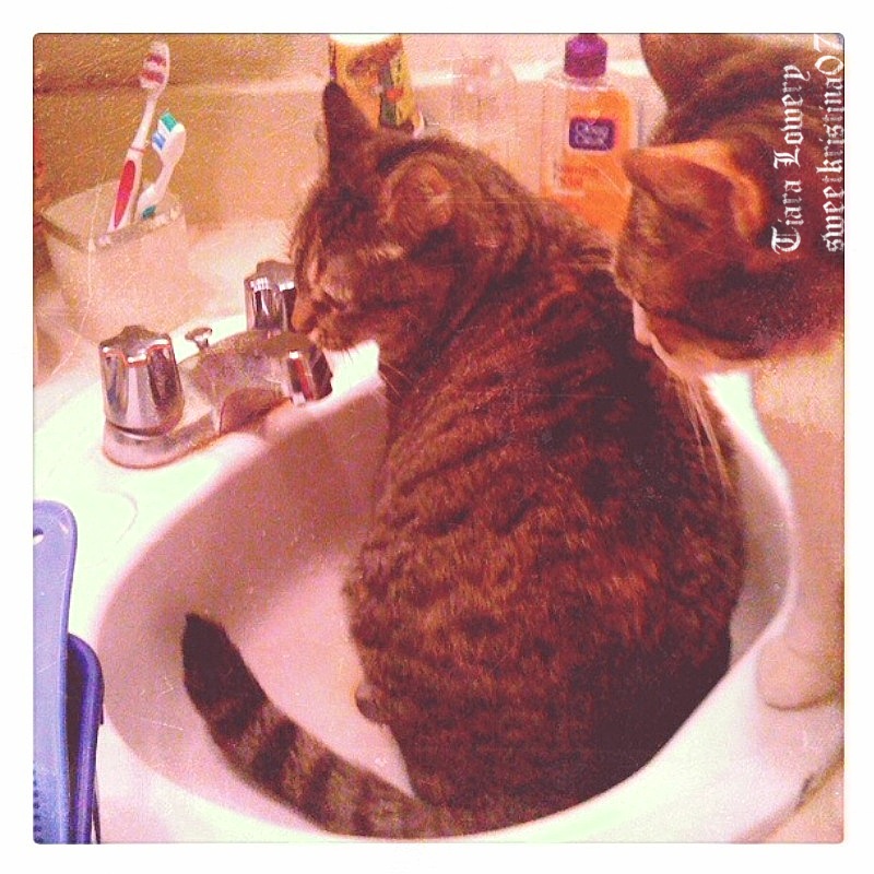 Sink Fun