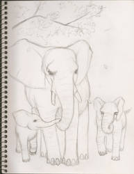 elephant sketch