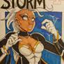 Storm blank cover