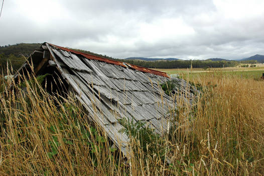 Fallen Shed