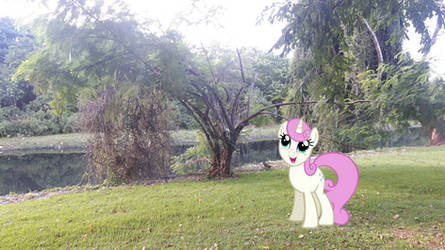 Twinkleshine observing a willow at Pampulha