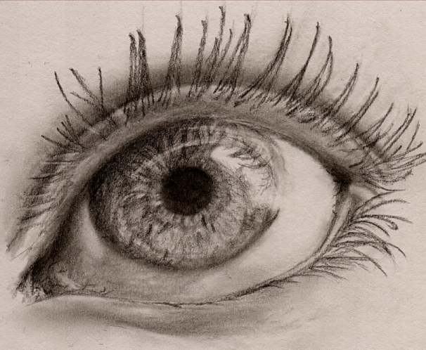 Eye