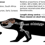 Tritylodon schematic
