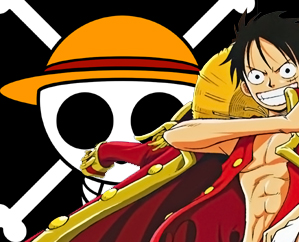 One Piece Folder