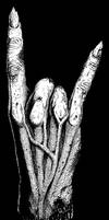 Metal horns hand sign drawing by GrimsoulArt