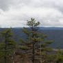 Virginia Appalachian Trail Valley