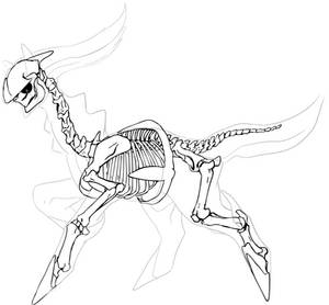 Arceus Skeleton