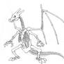 Charizard Skeleton v2