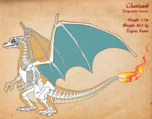 Charizard Skeleton v3