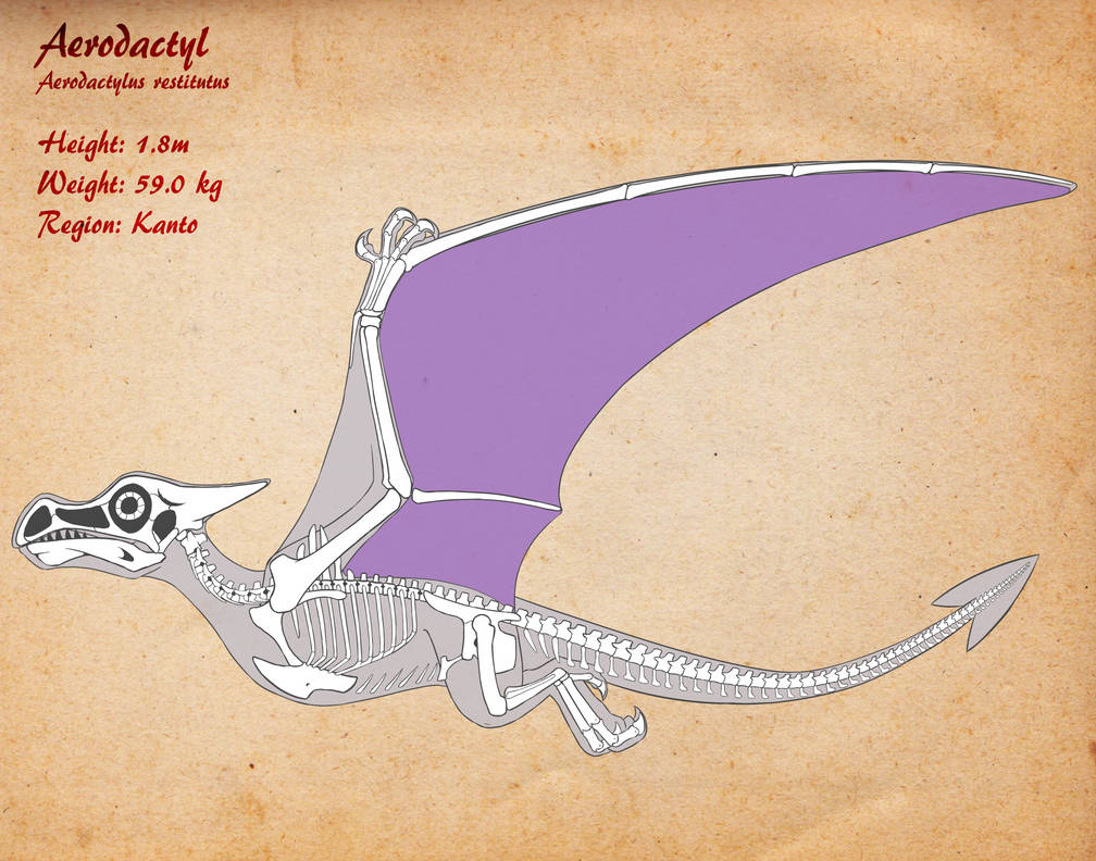 Aerodactyl Fossil by darkbolt20 on DeviantArt