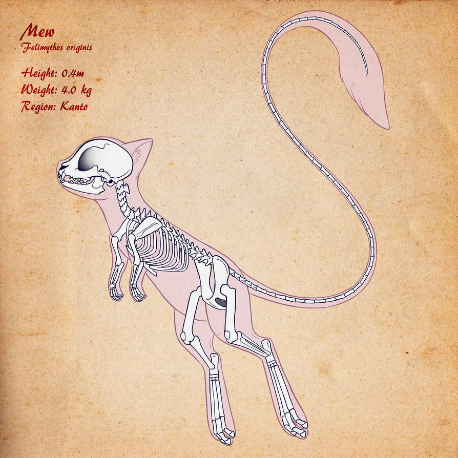 Bone Mew Mew Skeleton by Chibi-Pika on DeviantArt