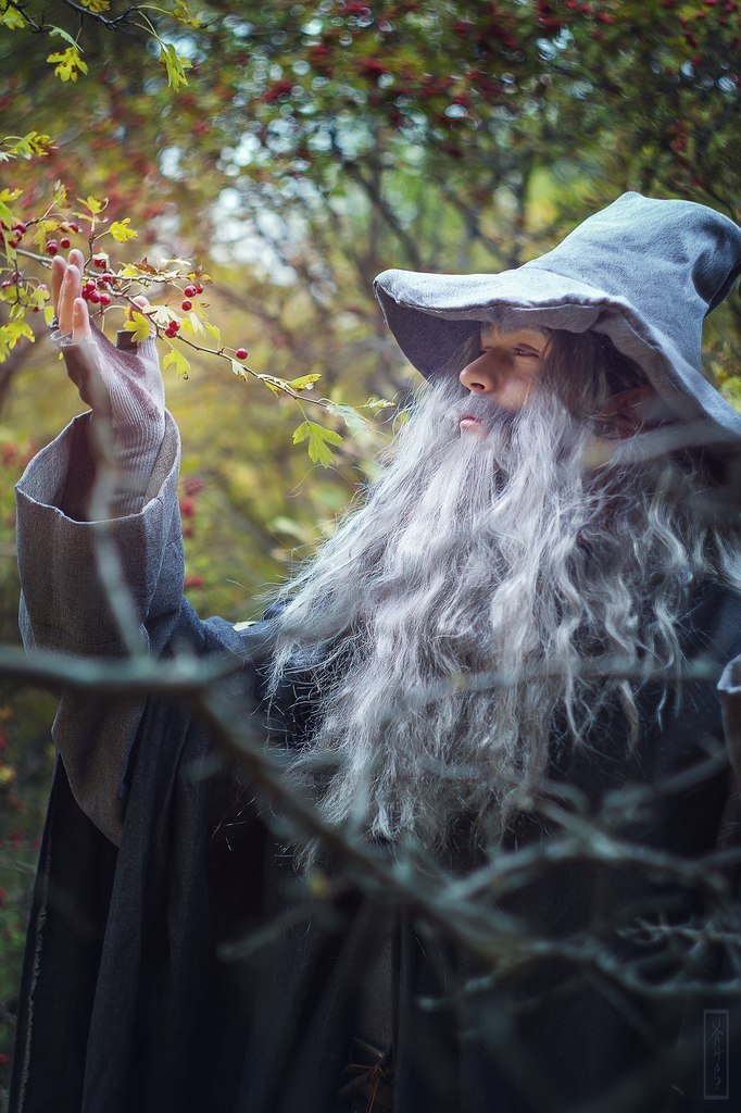 The Lord of the Rings :Gandalf