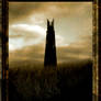 View for the Orthanc