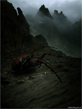 SHELOB