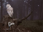 TALES FROM EASTERN WOODS-OWL AND WHITE SERPENT by SHUME-1