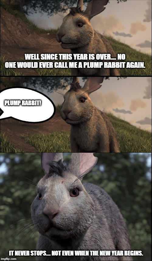 Bigwig The Plump Rabbit by sacbrother95 on DeviantArt