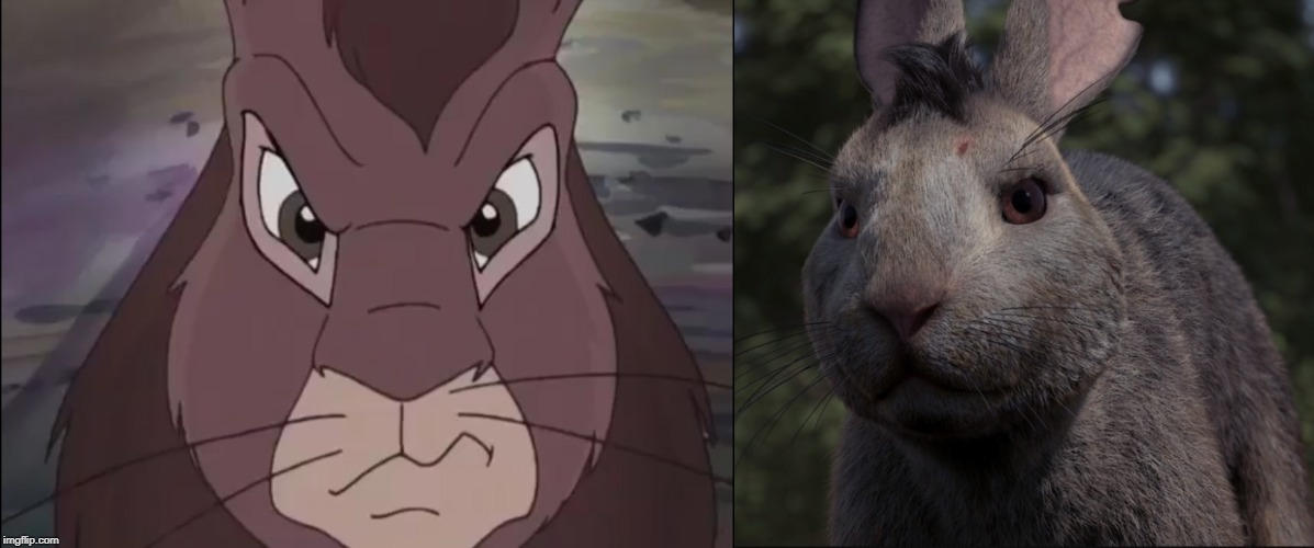 Plump Rabbit by sacbrother95 on DeviantArt